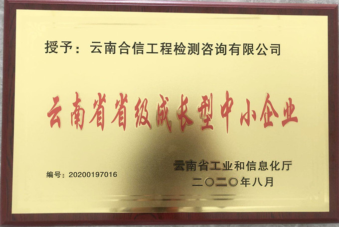 喜訊！國(guó)檢集團(tuán)•云南合信公司又獲一榮譽(yù)